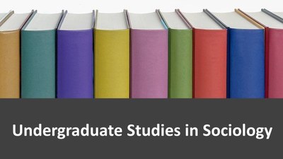 Undergraduate Studies in Sociology image 2