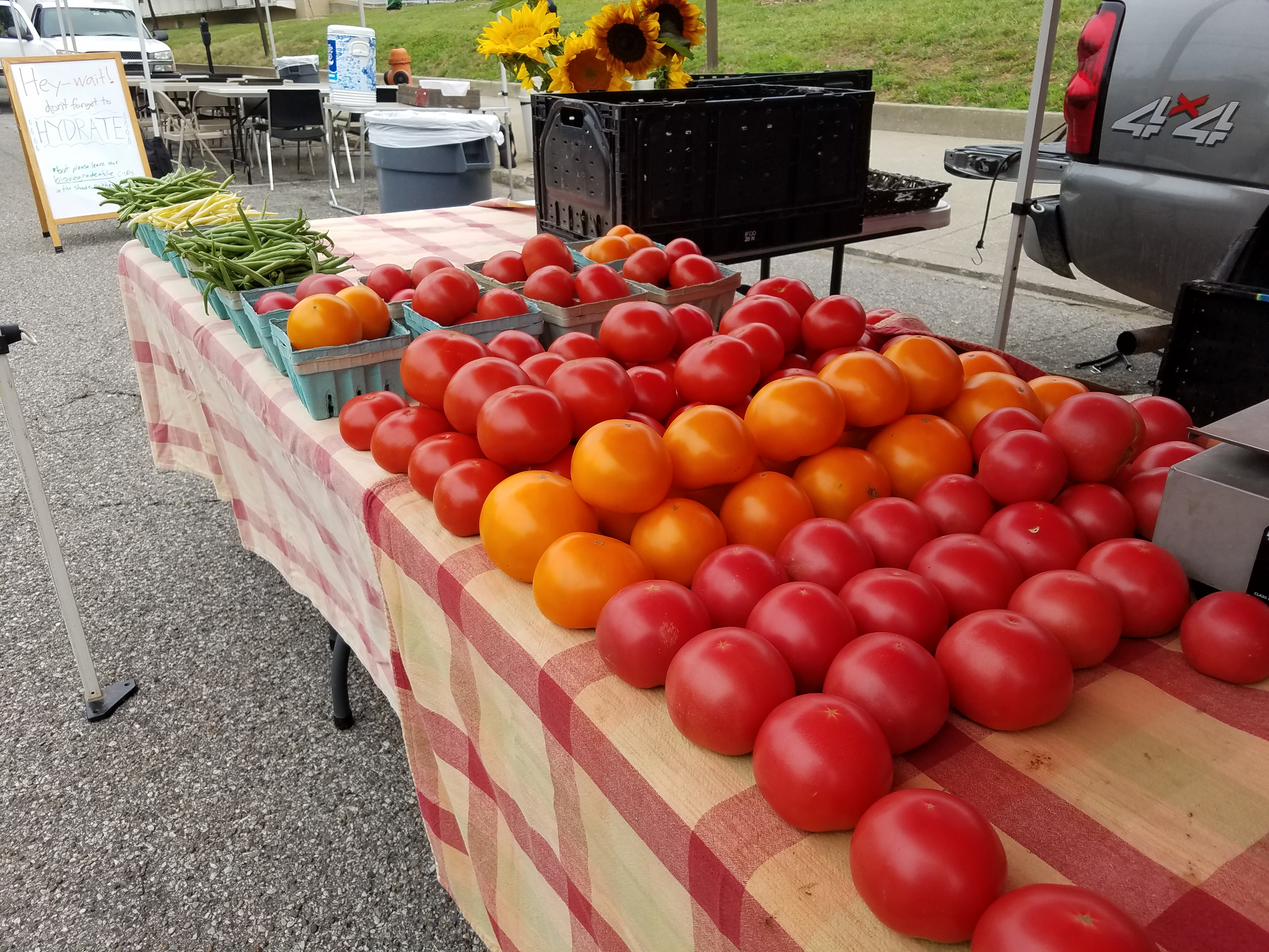 Gray Street Farmers Market Launches Crowdfunding Campaign to Benefit SNAP Recipients