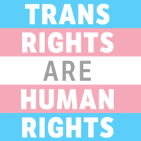 Banner image trans are human rights