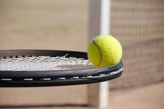 A tennis ball resting on a racket face.