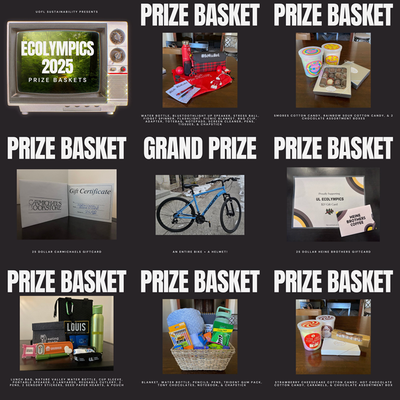 2025 Ecolympics Prize Collage