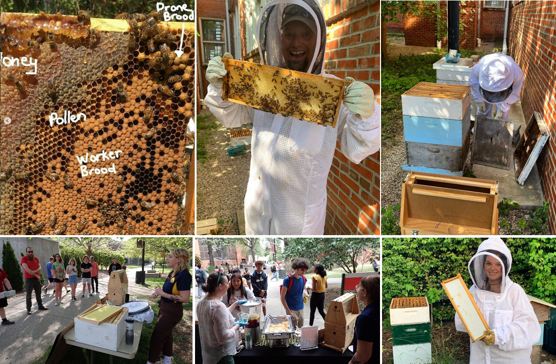 Beekeeping Compilation 2023