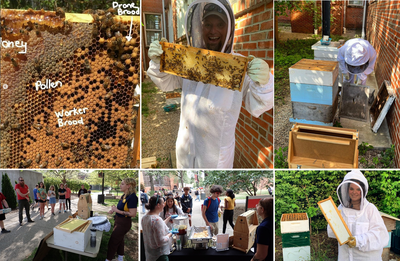 Beekeeping Compilation 2023