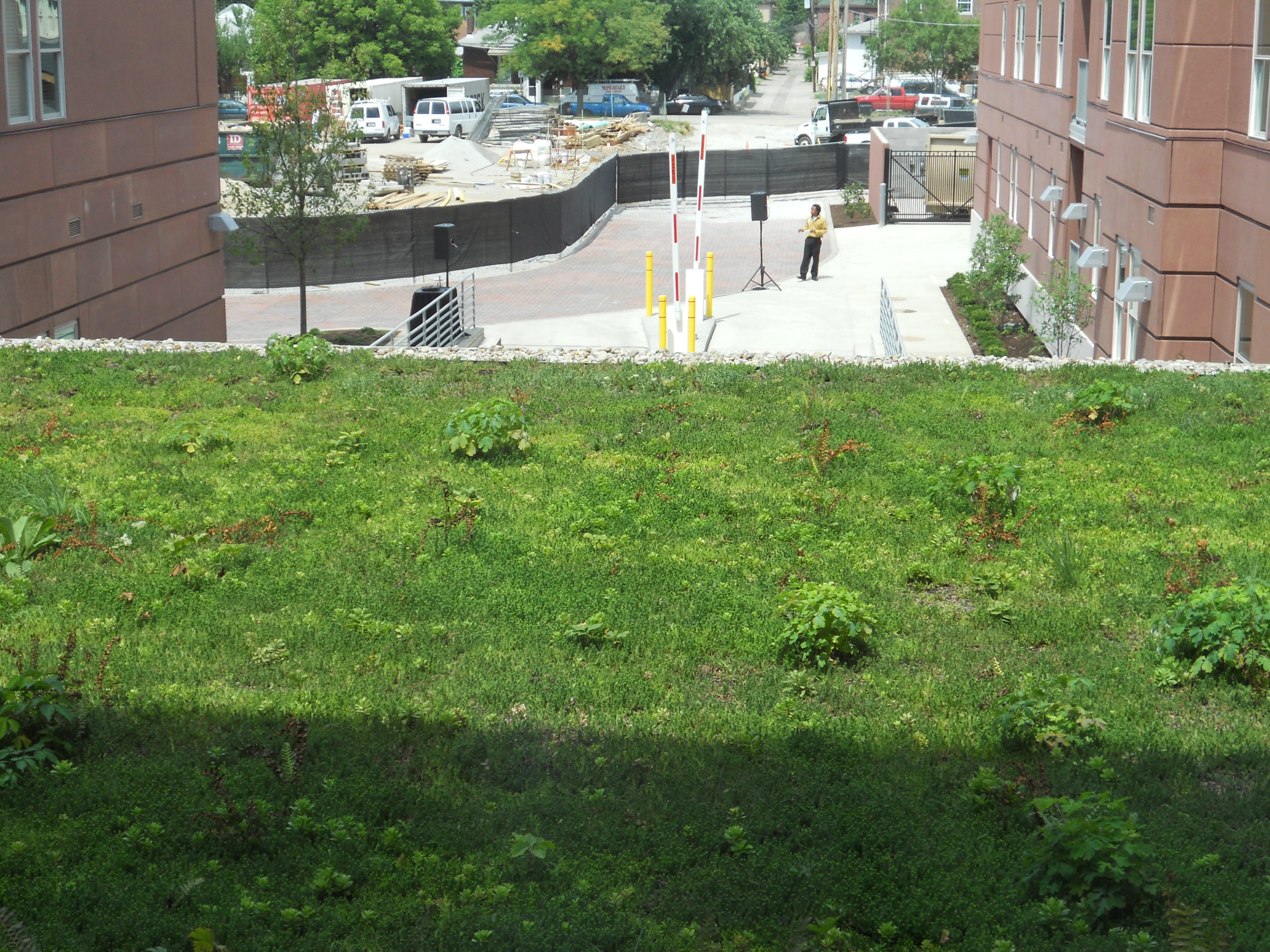 Cardinal Towne Green Roof