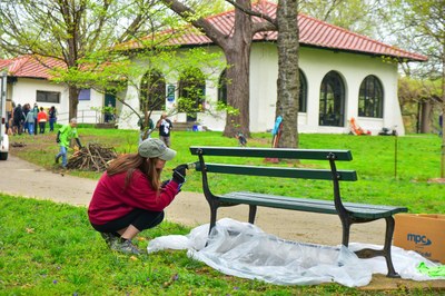 Central Park Improvement Day