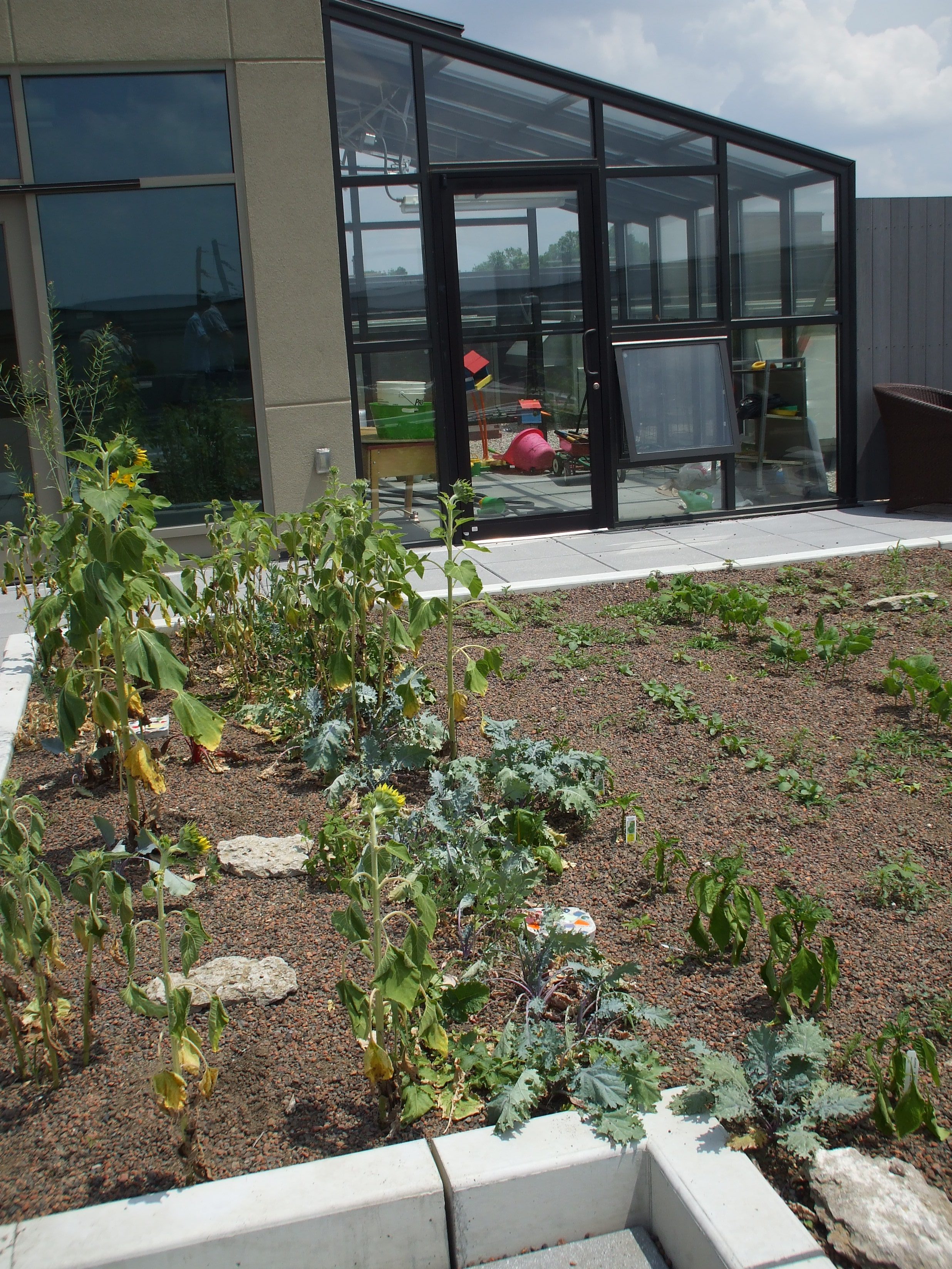 Garden atop Early Learning Campus at Family Scholar House