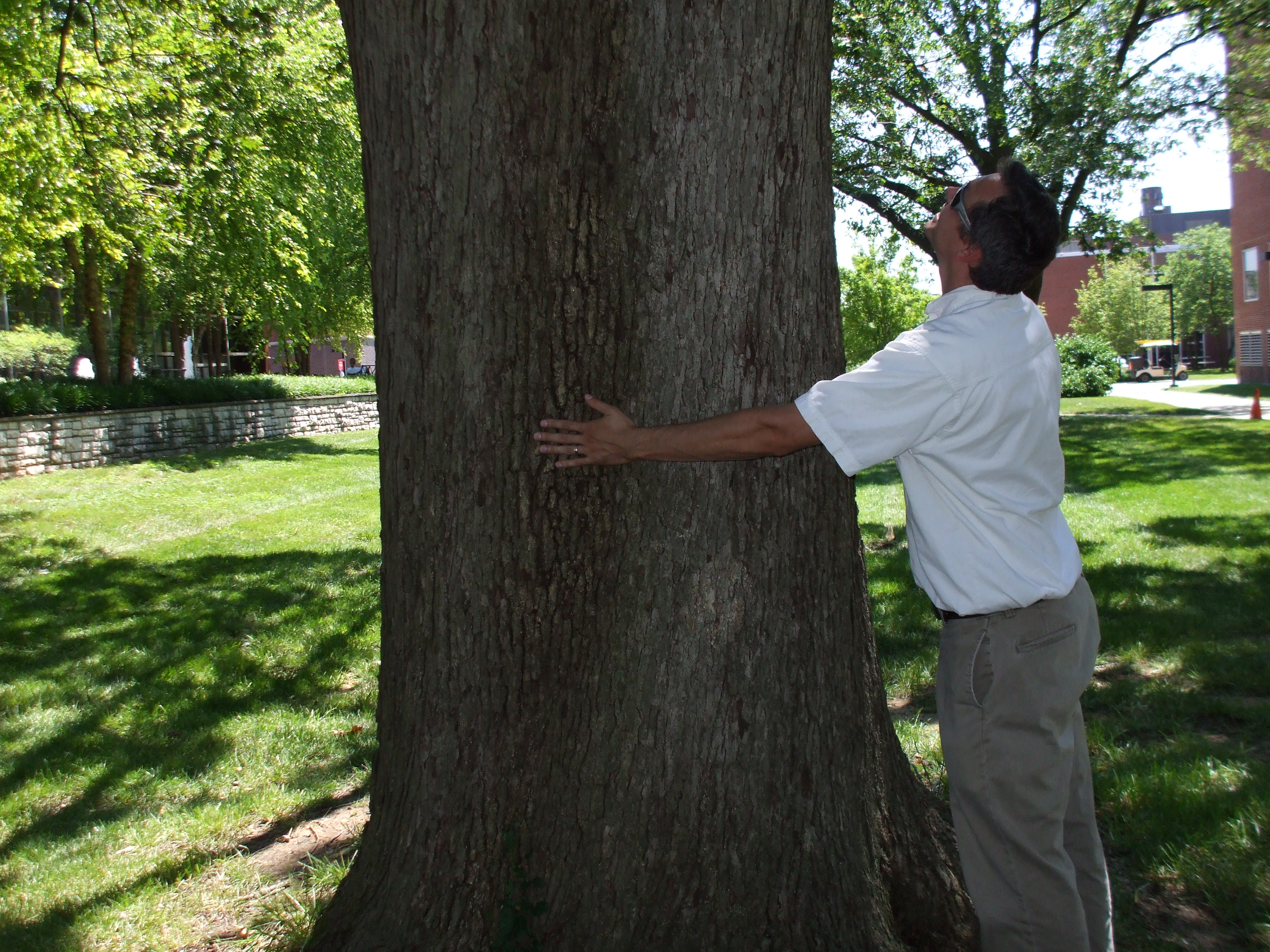 Tree Hugging