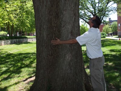 Tree Hugging