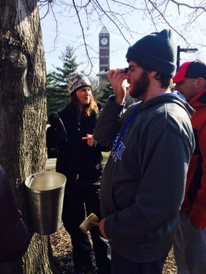 Wreath Making Workshop — UofL Sustainability