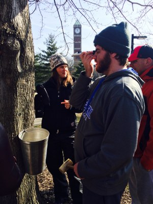 Maple Tapping - March 2016