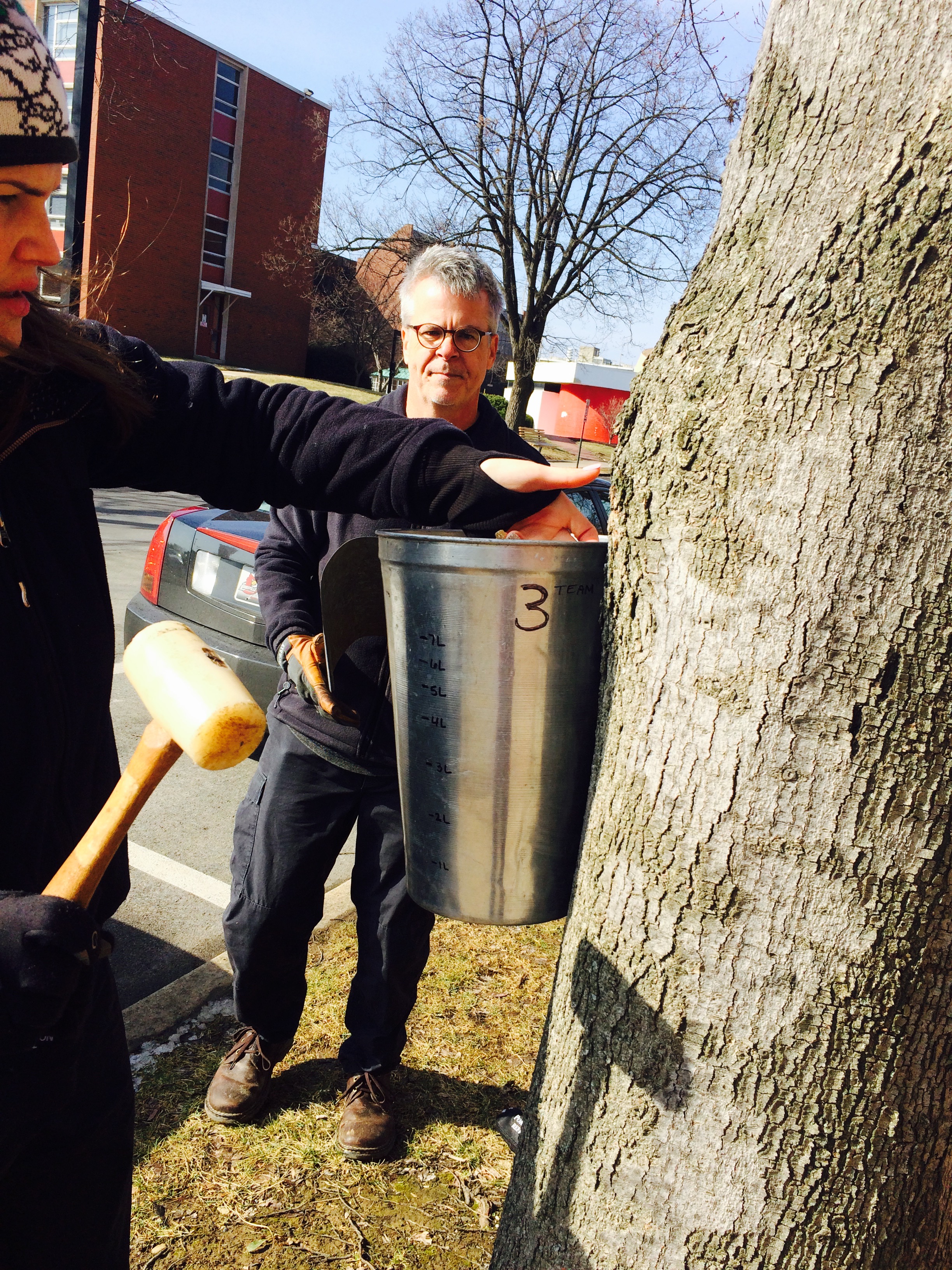 Dave Barker - Helping Tap Trees 2016