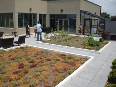 Green Roof and Vegetable Garden atop Early Learning Campus at Family Scholar House