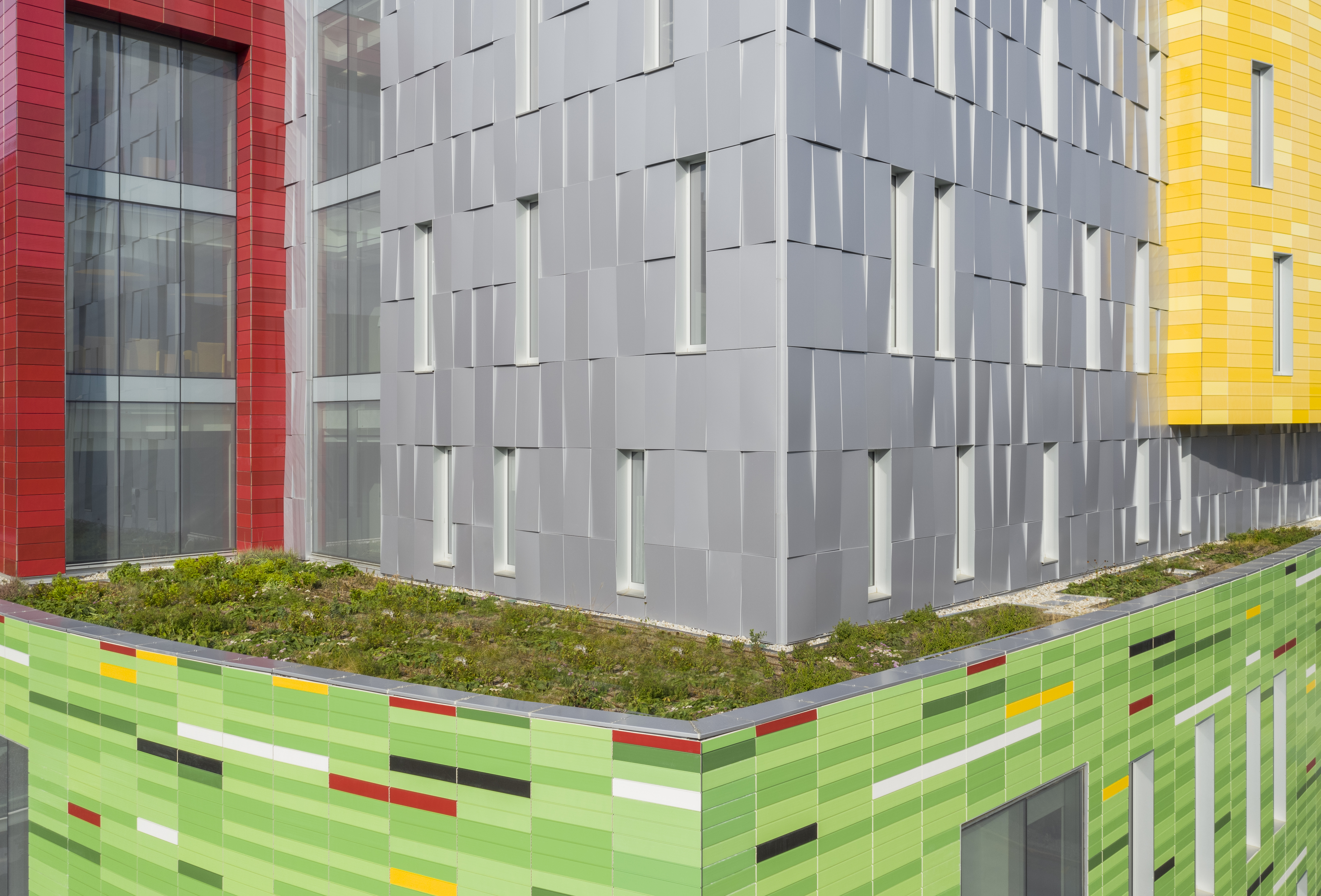 Green Roof on Novak Center of Children's Health