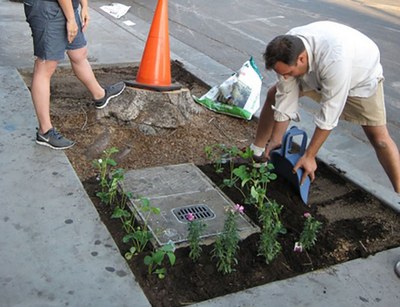 Guerrilla Gardening