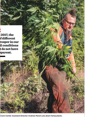 Hemp Trial 2017 (UofL Magazine Winter-Spring 2018)