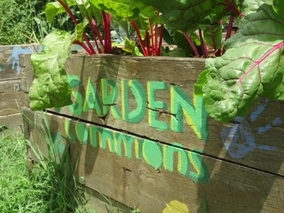 Garden Commons raised bed