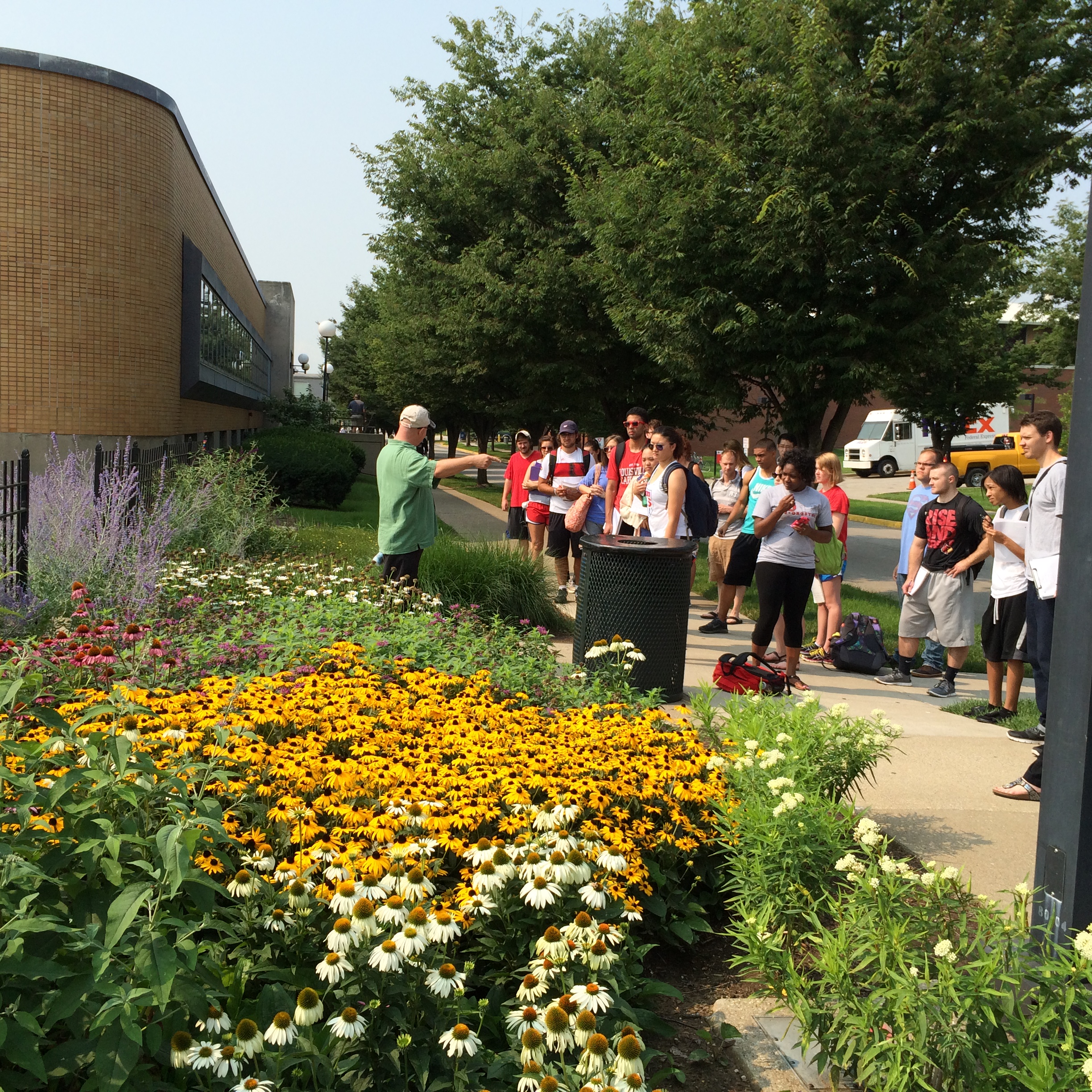 Butterfly Garden at Houchens