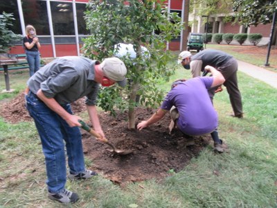 UofL Arbor Day Tree Planting 2020