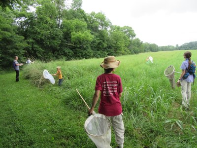 Horner Wildlife Refuge Butterfly Count 2015