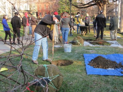 UofL students, faculty & staff participated in the Old Louisville Tree Planting 12-5-20