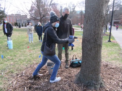 Maple Tapping Workshop 2021