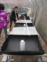 Aquaponics System at Garden Commons
