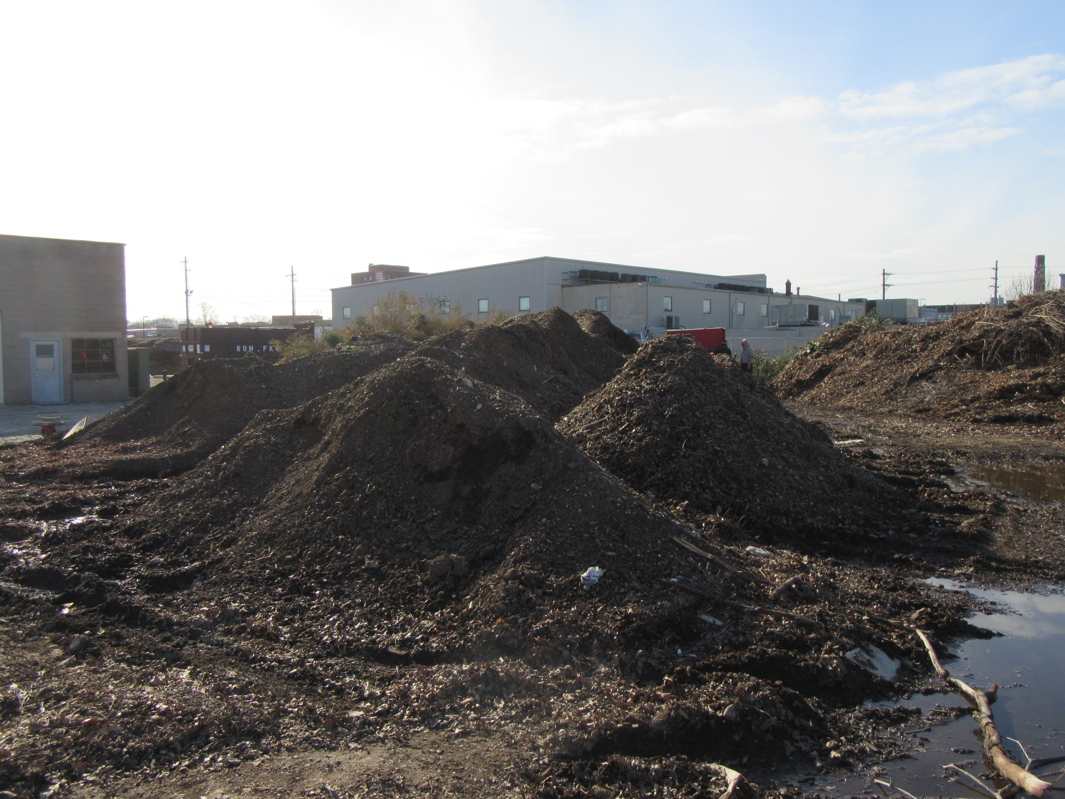 Mulch pile