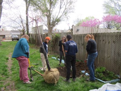 Community Tree Planting