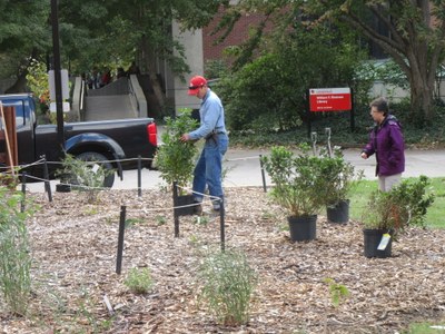 Sacred Heart senior plants 200 trees in Shively