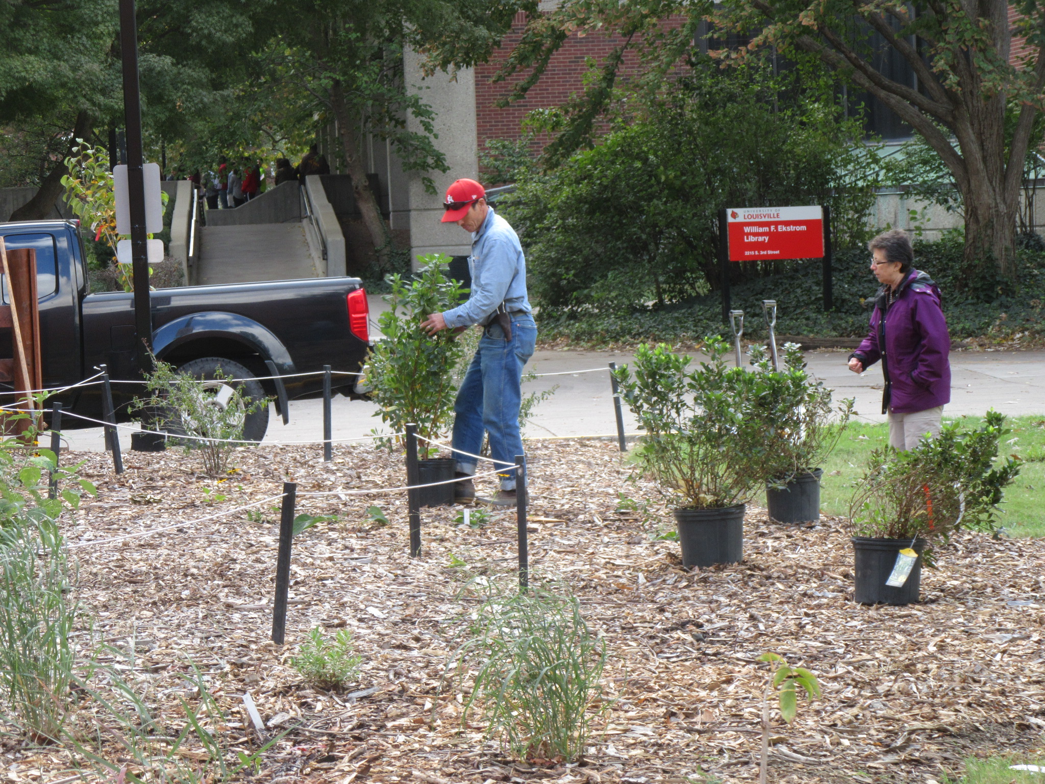 Planting Korfhage Native Plant Garden