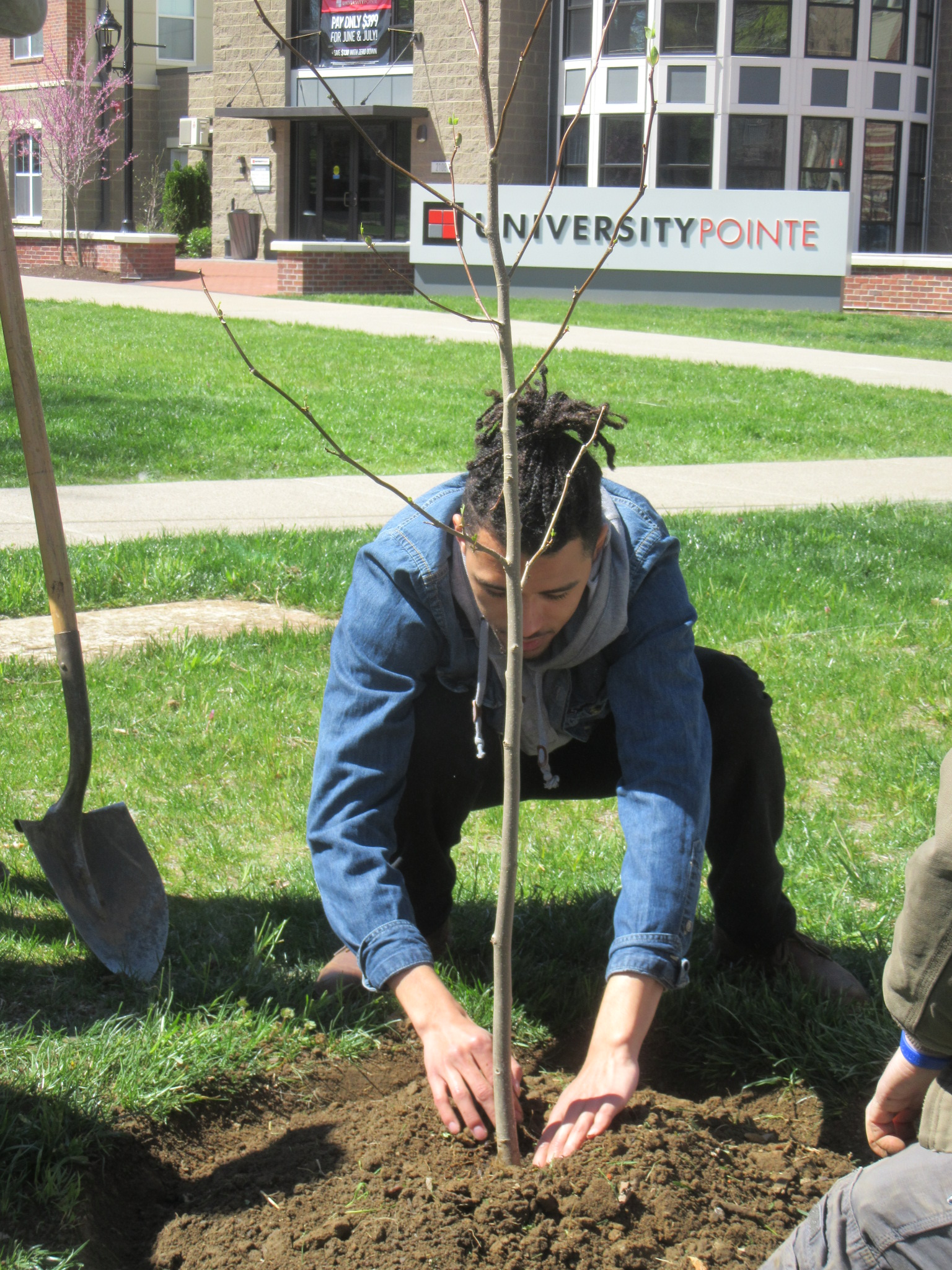 UofL Arbor Day 2017 Tree Planting