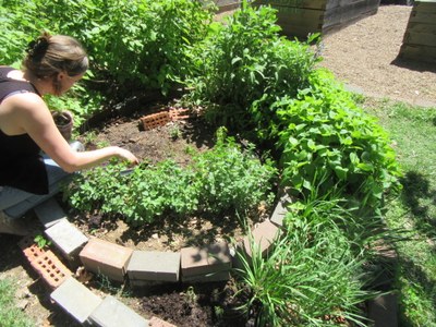 Garden Commons Herb Spiral