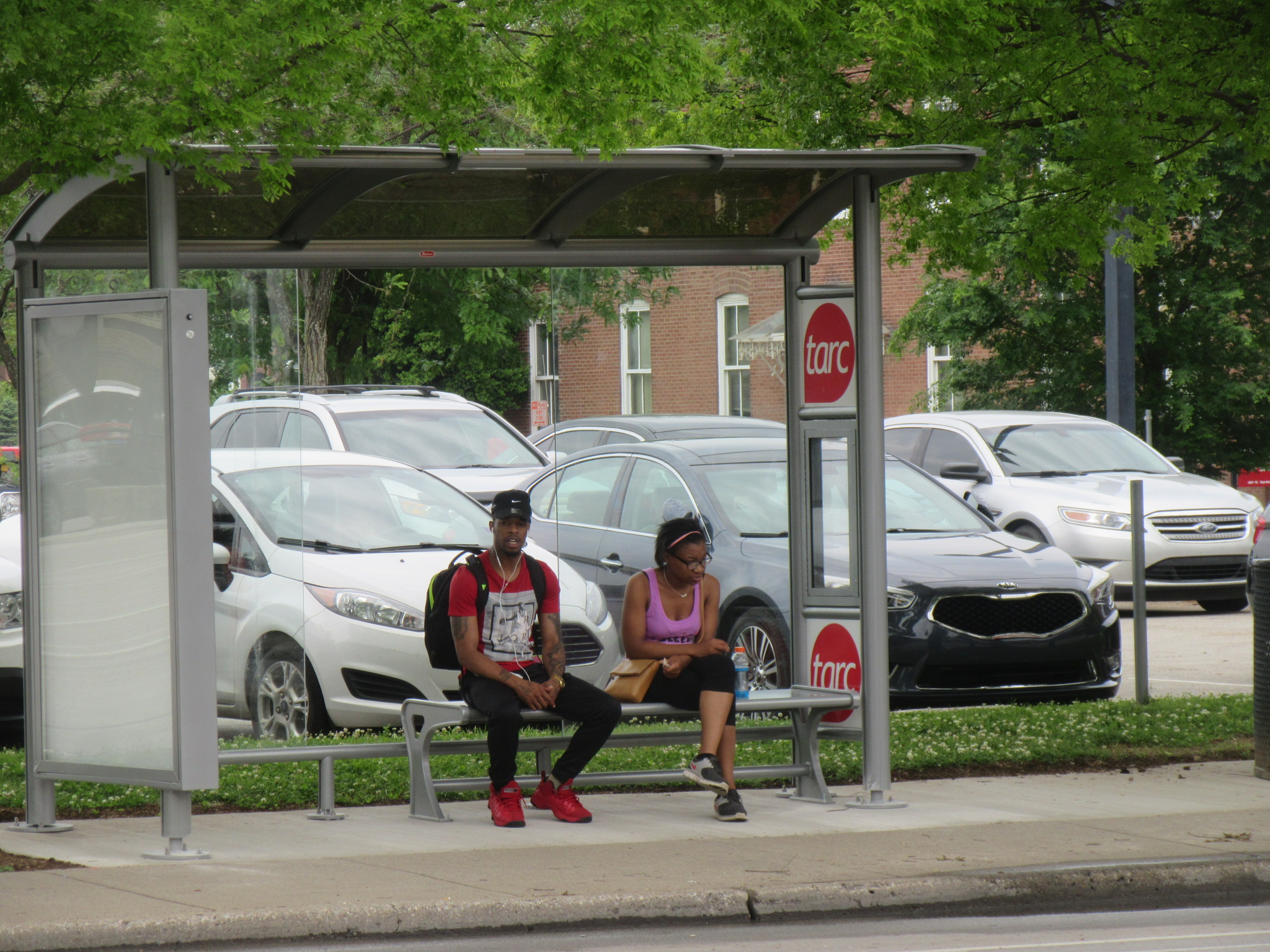 New TARC shelter at 4th + Cardinal (May 2017)