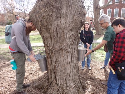 2023 Maple Tapping Workshop