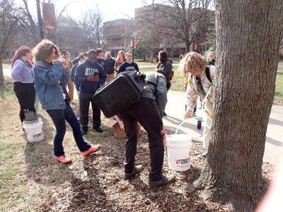 2024 Maple Tapping Workshop - Savannah Dowell