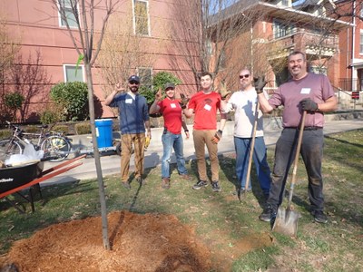 Old Louisville Tree Planting (March 2022)