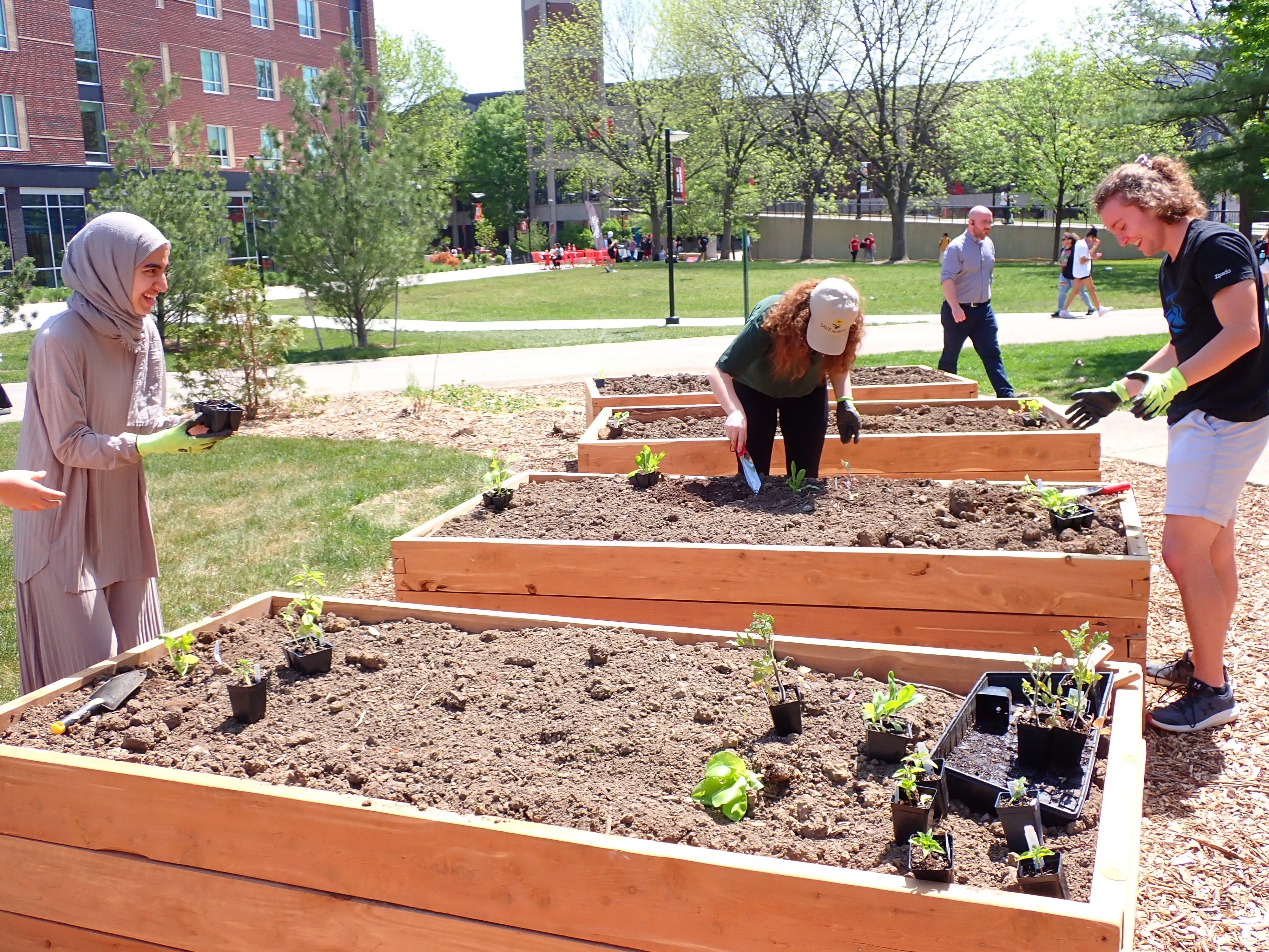 Image of Pierce Butler garden bed with compost