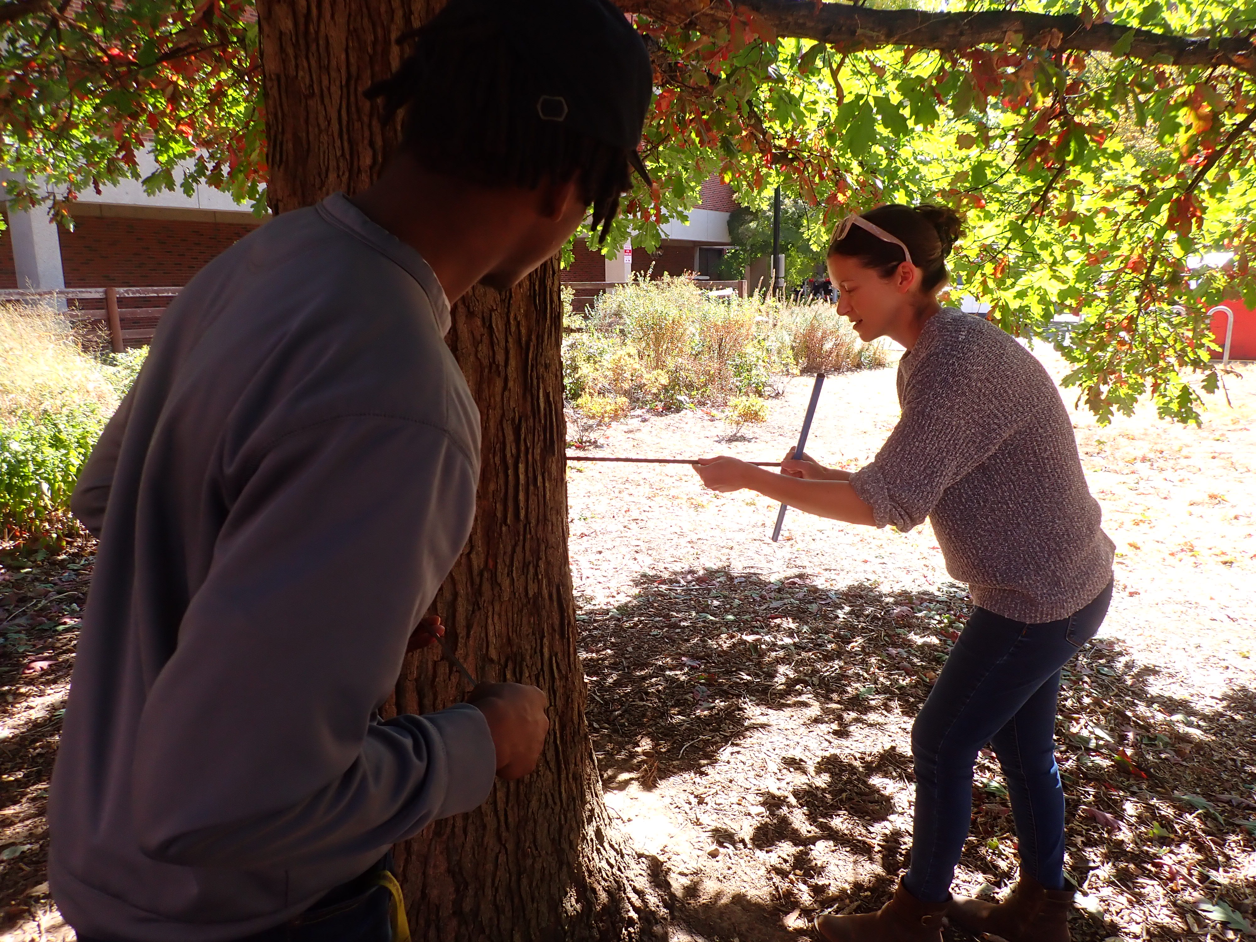 Tree Ring Workshop 2022