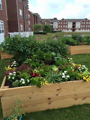 University of Louisville-Garden Commons, Community