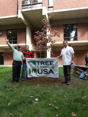 UofL Arbor Day tree planting, October 2014