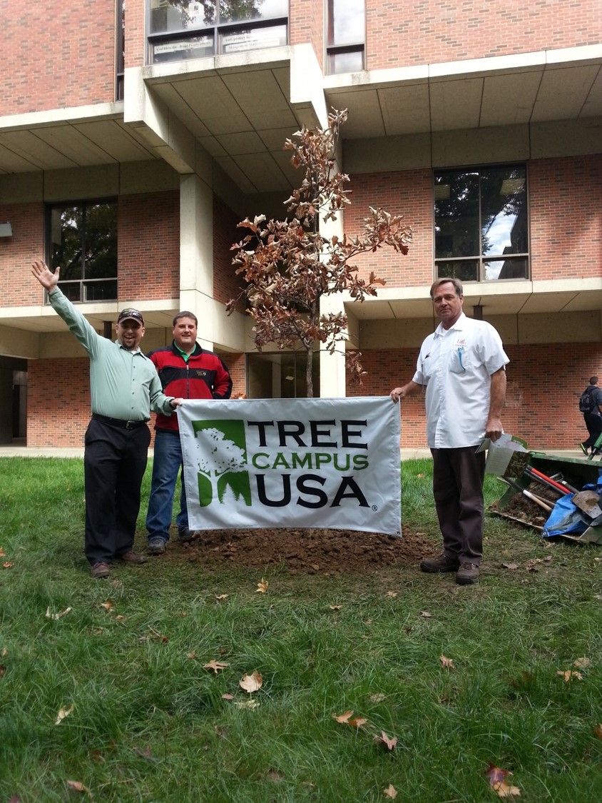 UofL Arbor Day 2014