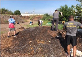 Compost Volunteers