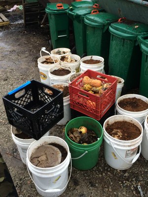 Food Scraps in Buckets for Composting