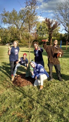 UofL Students at Louisville Grows Tree Planting