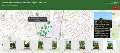 Virtual Belknap Tree Tour