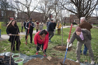 UofL Arbor Day on Belknap Campus, April 2022