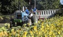 Farmers flock to Conn Center forum on industrial hemp