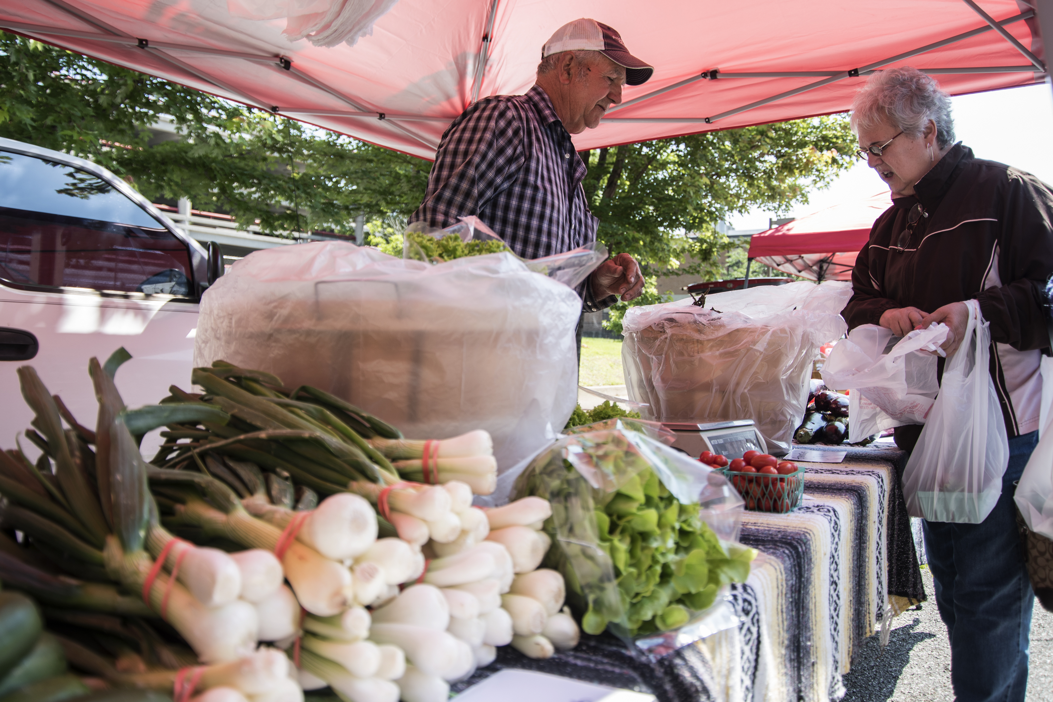 Gray Street Farmers Market selected for Double Dollars program