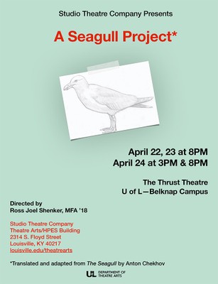A Seagull Project