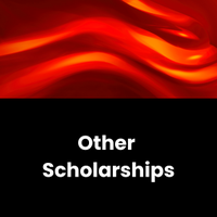 Other scholarships